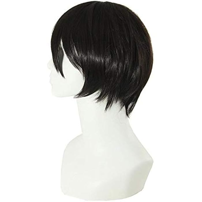 DILLARDS Short Hair Wig For Men Black - Image 1